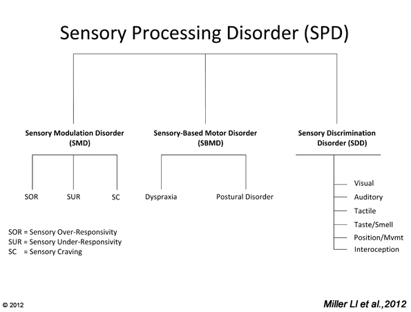 Subtypes Of SPD | STAR Institute